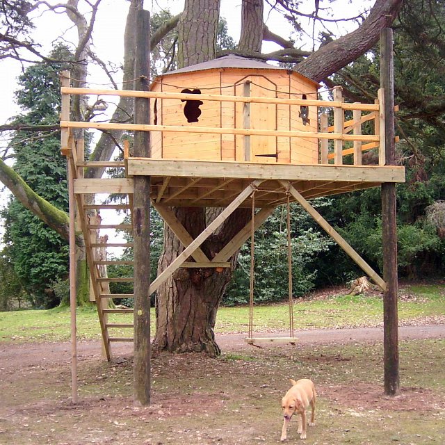 Treehouse